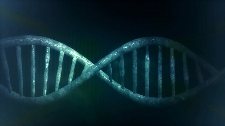 Генетическая мутация приводит к ГГМ