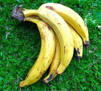 Плантан (овощной банан)