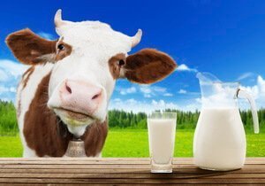 Коровье молоко
