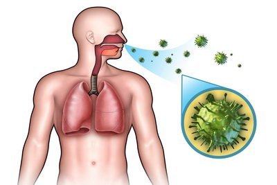 Вирусы и бактерии попадают через нос