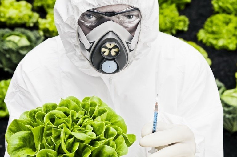 Три лжи биотехнологических компаний продвигающих ГМО