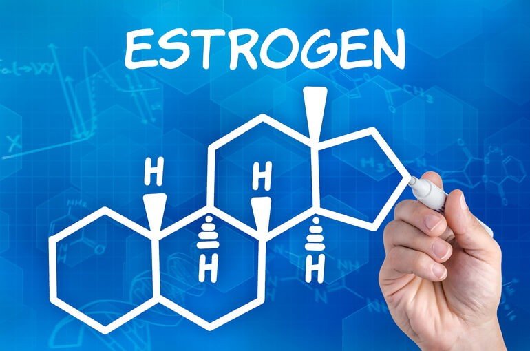 Эстроген: что это такое и как он работает