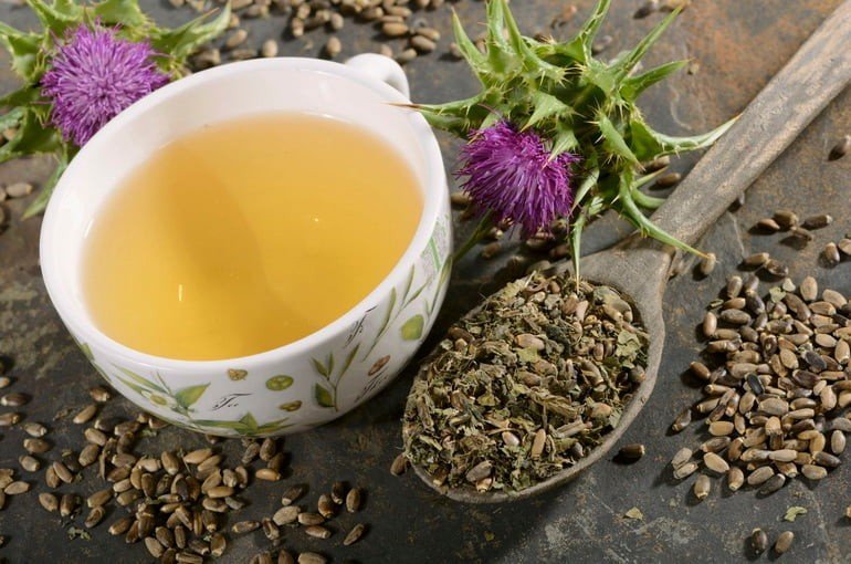 Чай с расторопшей: полезные свойства и противопоказания
