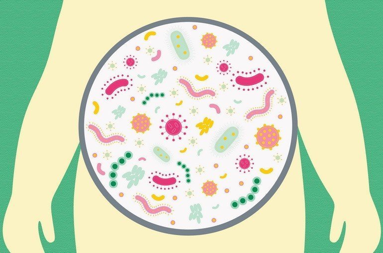 Пробиотики для похудения: могут ли они помочь похудеть?