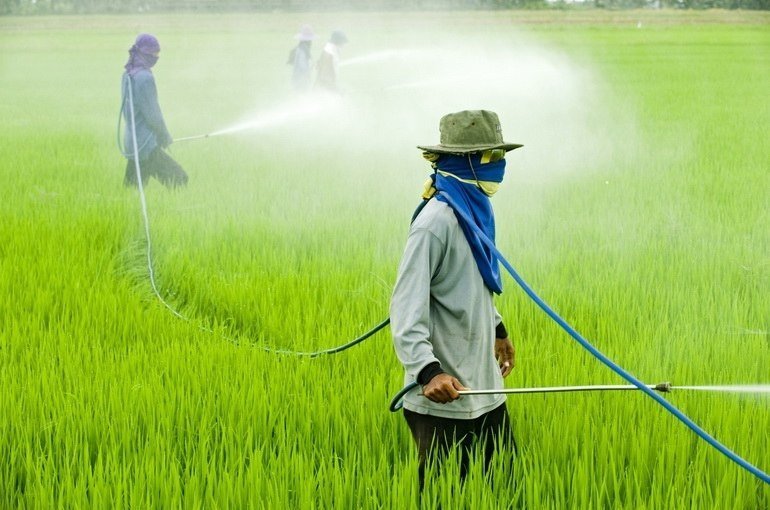 Применение пестицидов вызывает повреждения головного мозга у детей