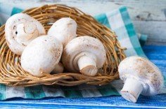 Полезны ли грибы при сахарном диабете 2 типа?