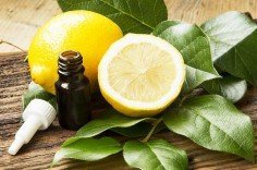 Эфирное масло лимона: свойства и применение, состав