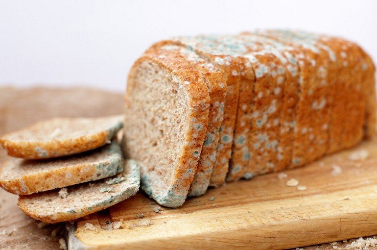Что будет если есть хлеб с плесенью?